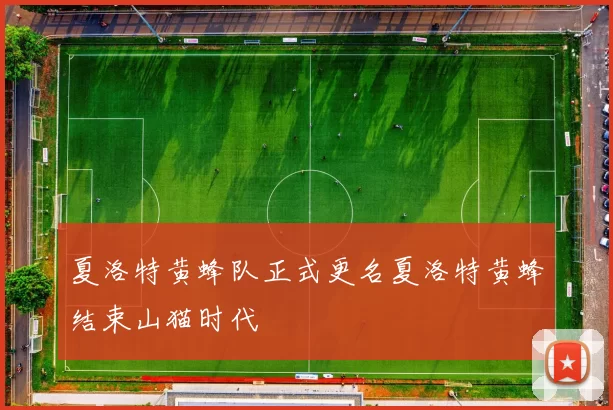 夏洛特黄蜂队正式更名夏洛特黄蜂结束山猫时代