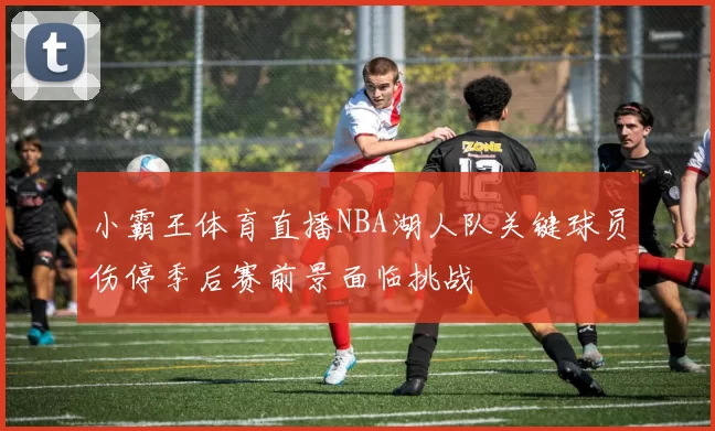 小霸王体育直播NBA湖人队关键球员伤停季后赛前景面临挑战