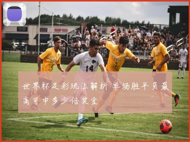 世界杯足彩玩法解析 单场胜平负最高可中多少倍奖金