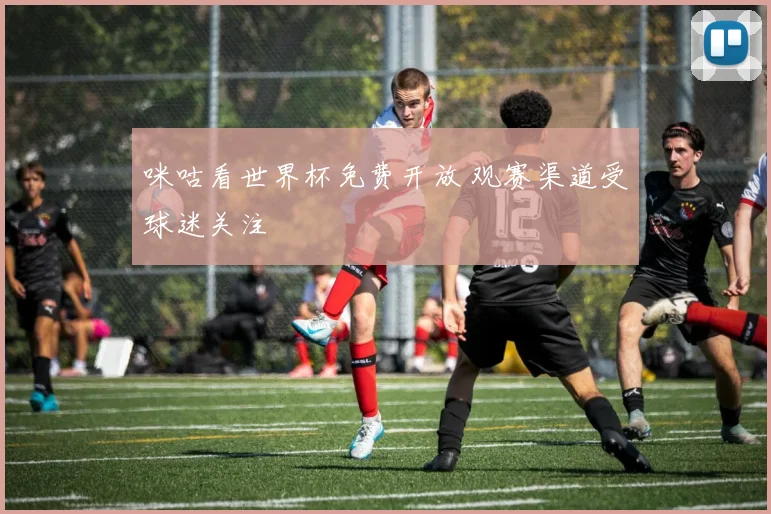 咪咕看世界杯免费开放 观赛渠道受球迷关注