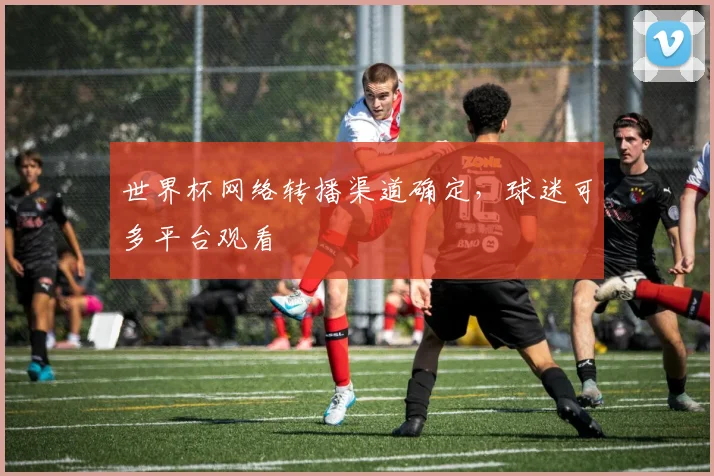 世界杯网络转播渠道确定，球迷可多平台观看