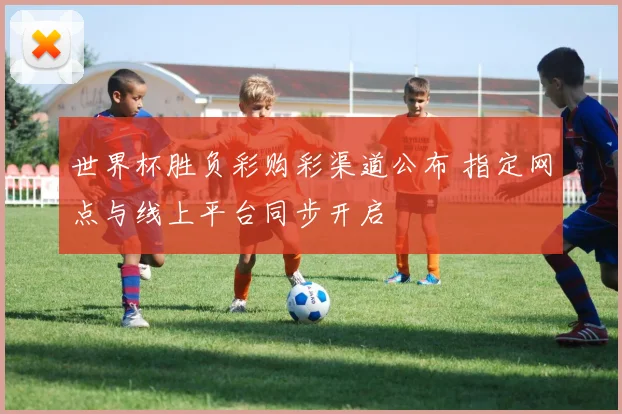 世界杯胜负彩购彩渠道公布 指定网点与线上平台同步开启
