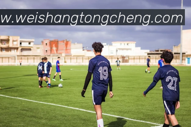 多媒体互动体验